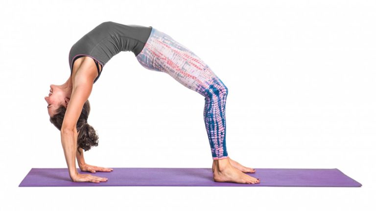 Young sporty attractive woman practicing yoga, doing Bridge exercise,  Urdhva Dhanurasana pose, working out, wearing sportswear, pants and top,  indoor full length, white yoga studio Stock Photo | Adobe Stock