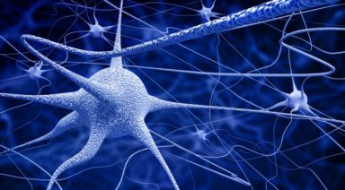 Wake Up Your Vagus Nerve and Heal Your Body