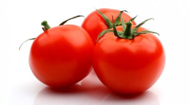 What is a Yogic Diet