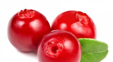 A Yogi’s Breakfast: Start Your Day with Vitality