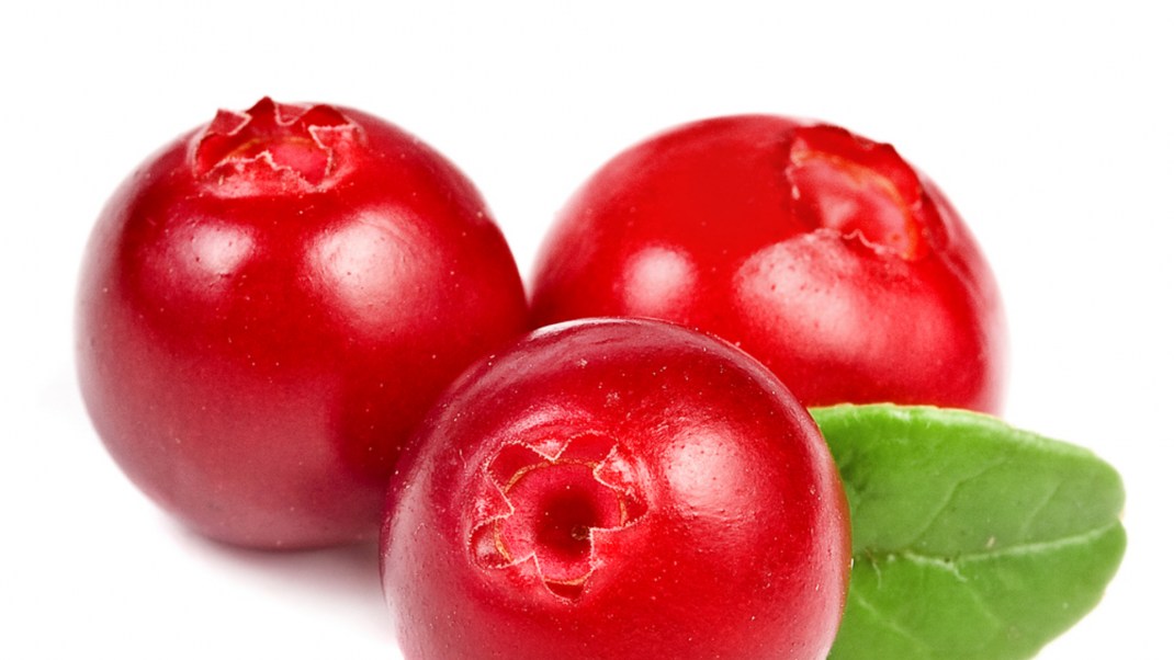 A Yogi’s Breakfast: Start Your Day with Vitality