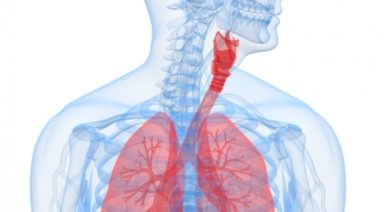 The Anatomy of Pranayama: Understanding Our Breath