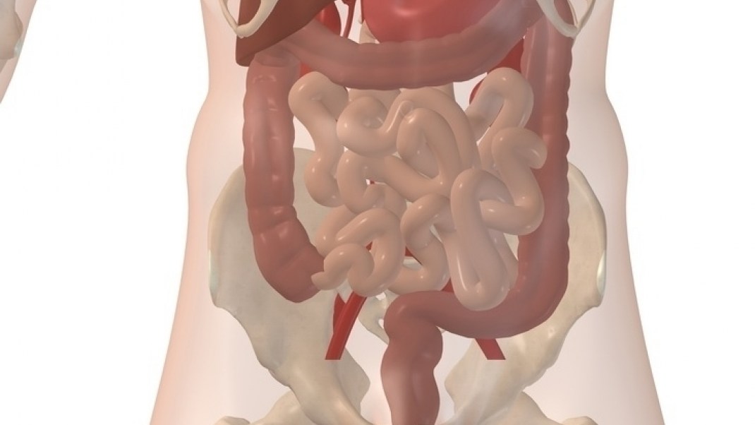 Get Your Daily Cleanse with Flax Seed