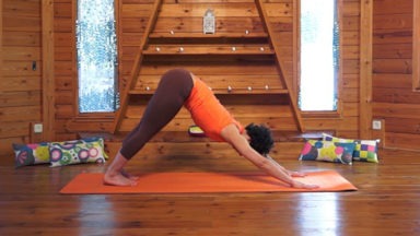 Postura de yoga: Adho mukha svanasana o perro cara al suelo