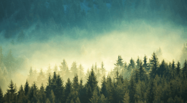 Am I a Mystic? Signs & Personality Traits Most Mystics Share