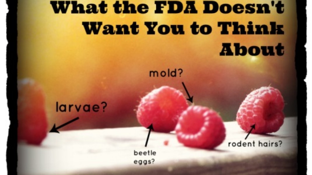 10 Gross FDA Regulations the Government Doesn’t Want You to Think About