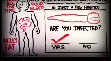 The Truth and Question Surrounding The American Parasite