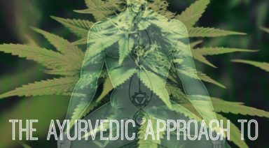 What is the Ayurvedic Perspective on Cannabis?
