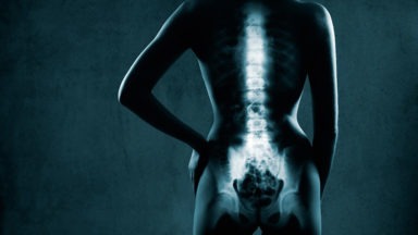 ¿Cómo funciona tu columna vertebral?