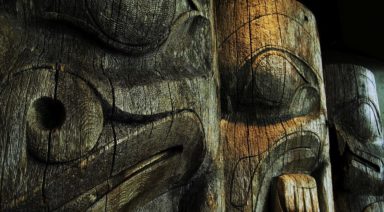 Crocodiles and Plant Medicine: Lessons of the Modern Shaman