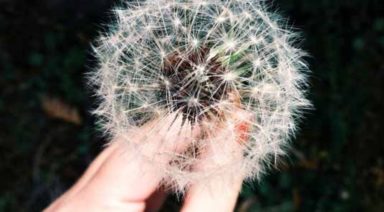 The Myth of Love, Friendship & Forever