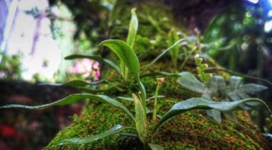 6 Ways to Unlock Your True Potential