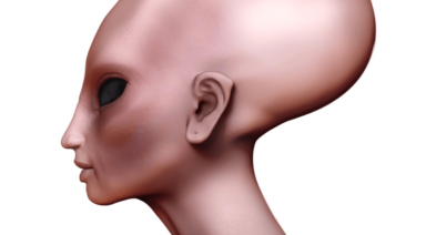 What are the Paracas Skulls? Explore the Ancient Mystery.