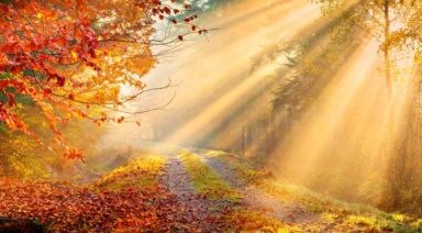 Autumnal Equinox: Ritual Through Yoga