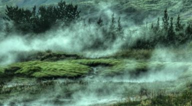 Wisdom of the Five Great Elements