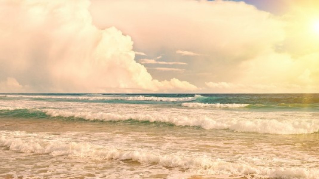 Free Energy: Connect With Raw Power Sources