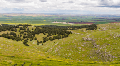 What is Gobekli Tepe? Facts, History, and Speculation