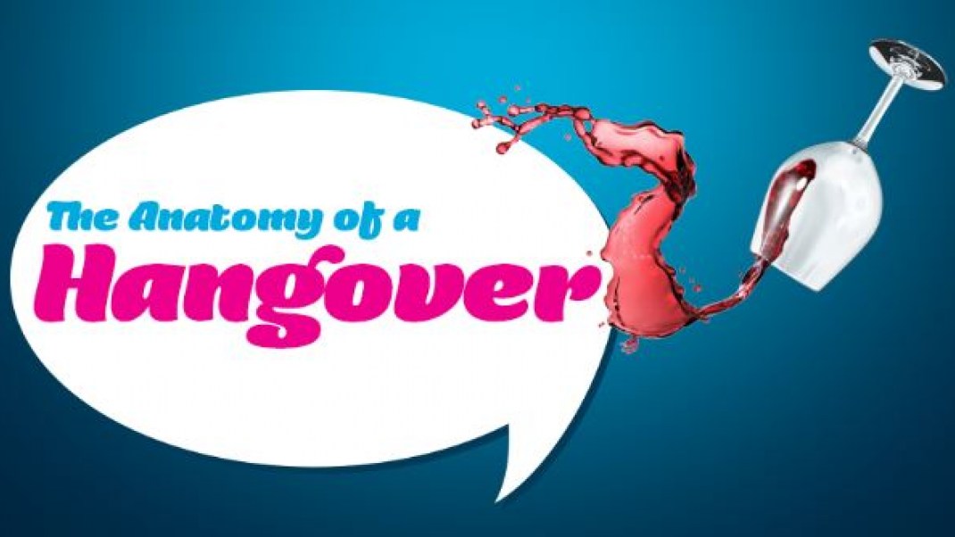 Infographic: The Anatomy of a Hangover | Gaia