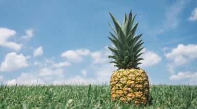 The Healing Benefits of Pineapple