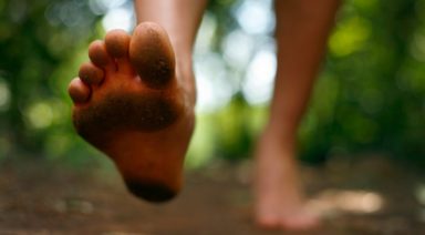 How to Anchor Your I AM Presence