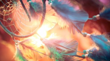 How to Catch Your Dreams