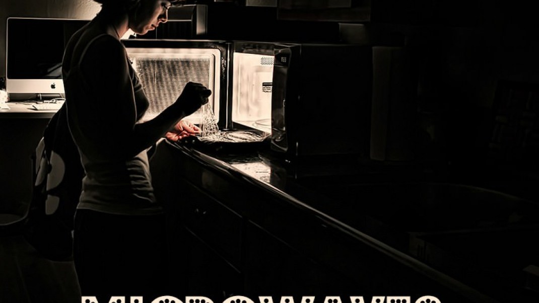 How Safe Is Your Microwave? Breaking Down Microwaves Gaia