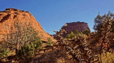 Explore the Mystery of Native American Creation Myths