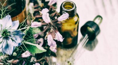 Naturopathic Medicine: The Therapeutic Order