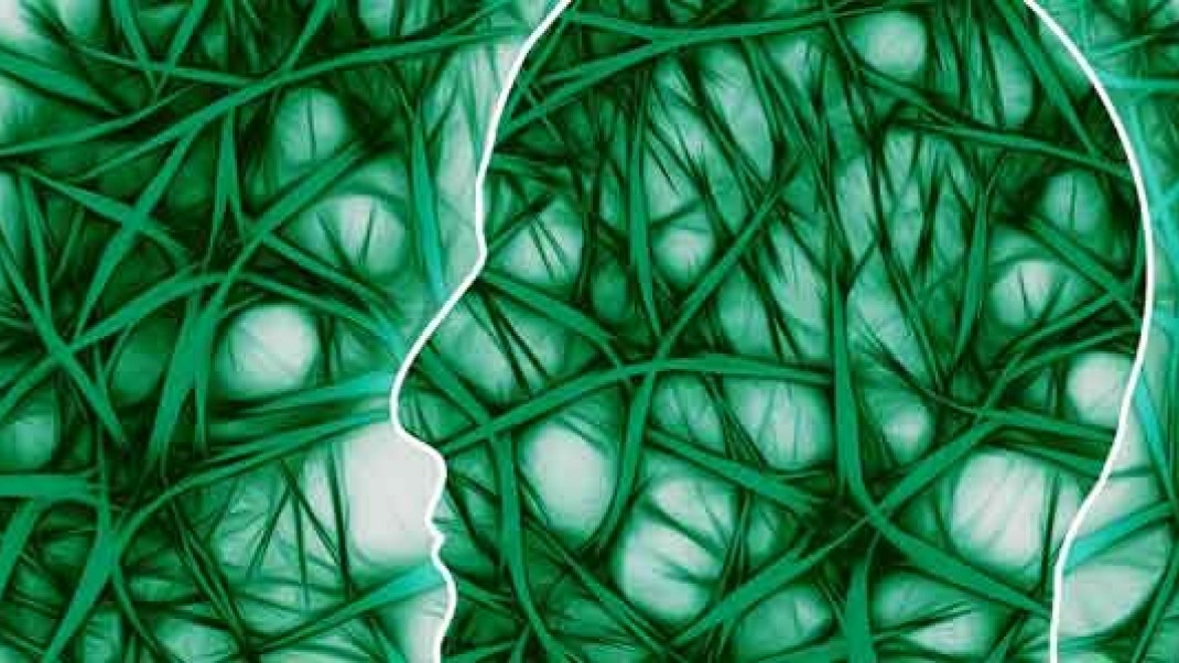 The 'Un-Cure' for Cancer Revealed