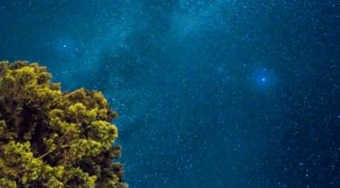 Platonic Solids: The Language of the Universe