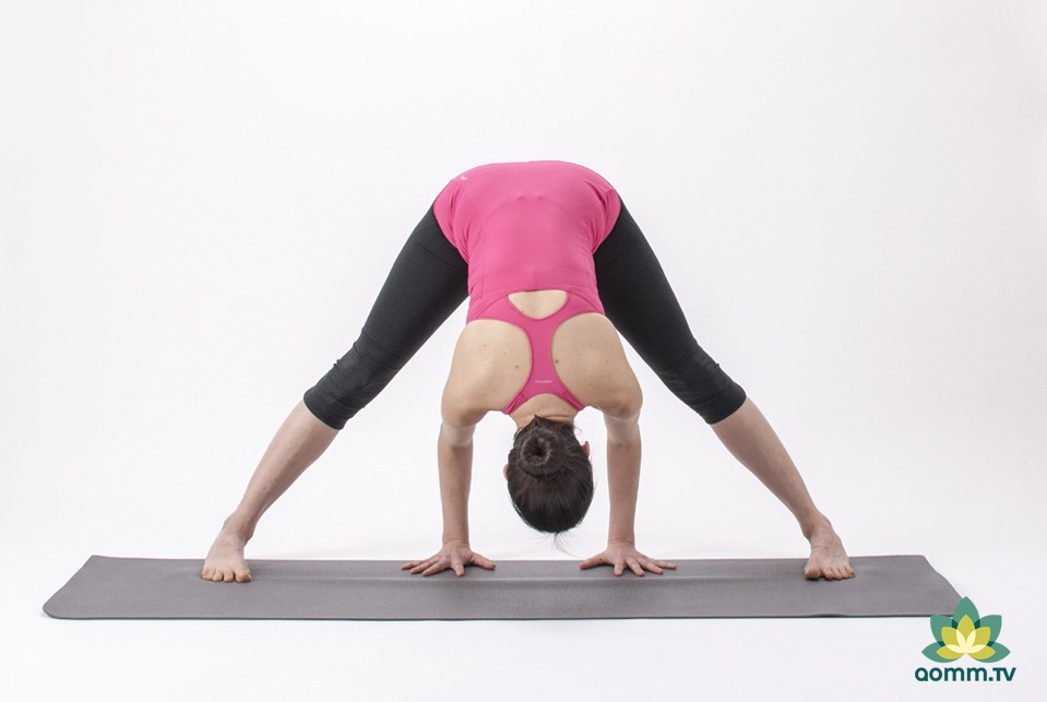 Posturas de yoga Prasarita Padottanasana Gaia