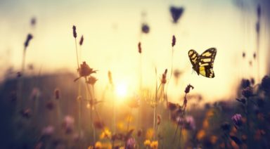 How to Unite Your Inner Feminine and Masculine