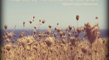 30 Quotes to Center Your Week