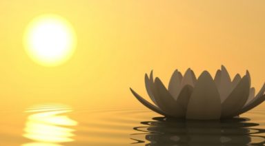 3 Powerful Tips to Activate the Law of Attraction in Your Life