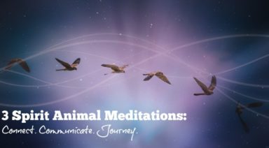 3 Spirit Animal Meditations