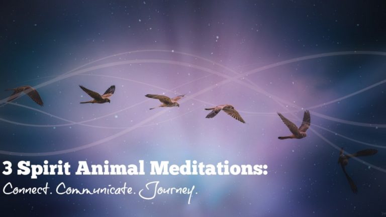 3 Spirit Animal Meditations: Contact Your Animal Guide | Gaia