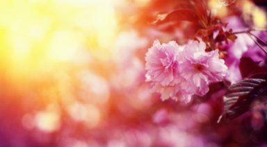 Vernal Equinox: Ritual Through Yoga