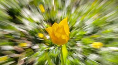 4 Ways to Move Through Your Emotions: LOVEolution Project