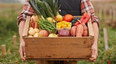 Healthy Vegan Fats and Foods: Vegan Diet Essentials