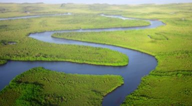 Who Was I In My Past Life?