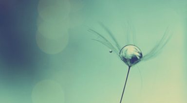 Harnessing the Power of Intention for Your Life