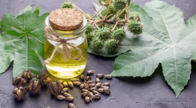 Health Benefits of Castor Oil Packs: What You Need to Know
