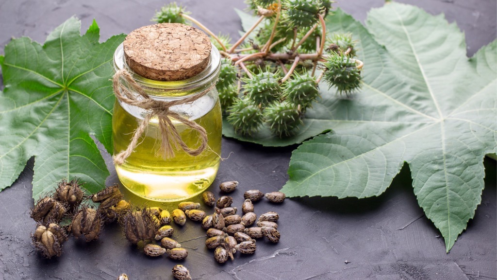 Fight Pain, Detox, and Build Immunity with Castor Oil Packs | Gaia