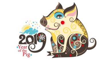 Welcome to the 2019 Earth Pig Year