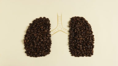 One Expert Shares His Favorite Herbs and Plants to Heal