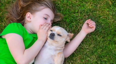 Artificial Intelligence Will Help Us Communicate With Animals