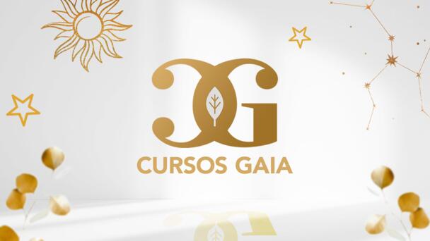 Cursos