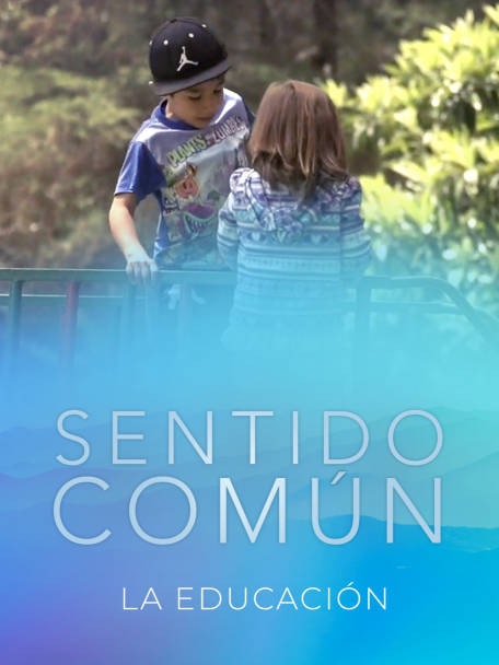 D82ed8e2 950e 4a5b A6cf 9db5b864e6c8