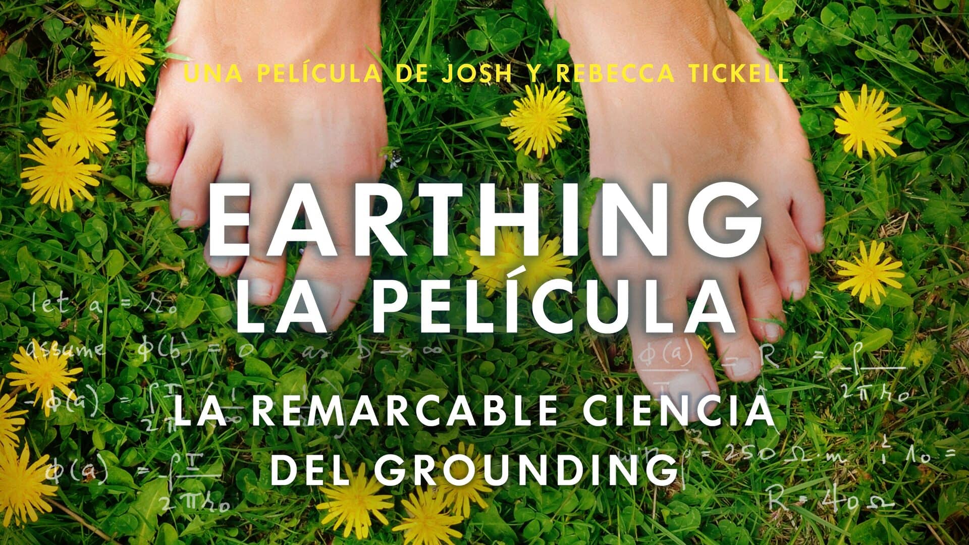 Earthing