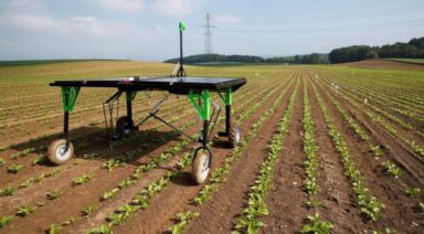 This Autonomous Robot Can End Mass Spraying of Herbicide on Crops